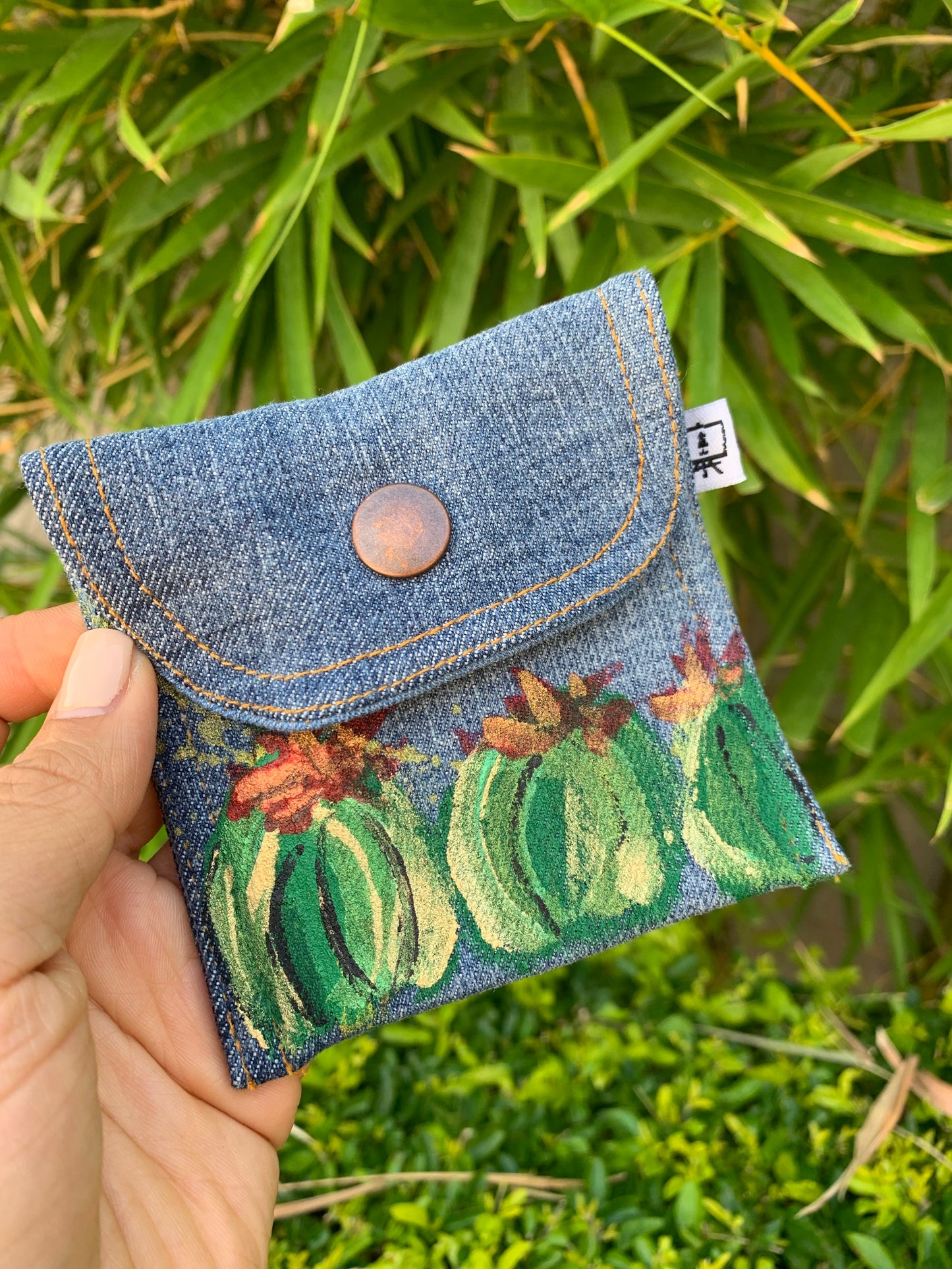 Mía cactus